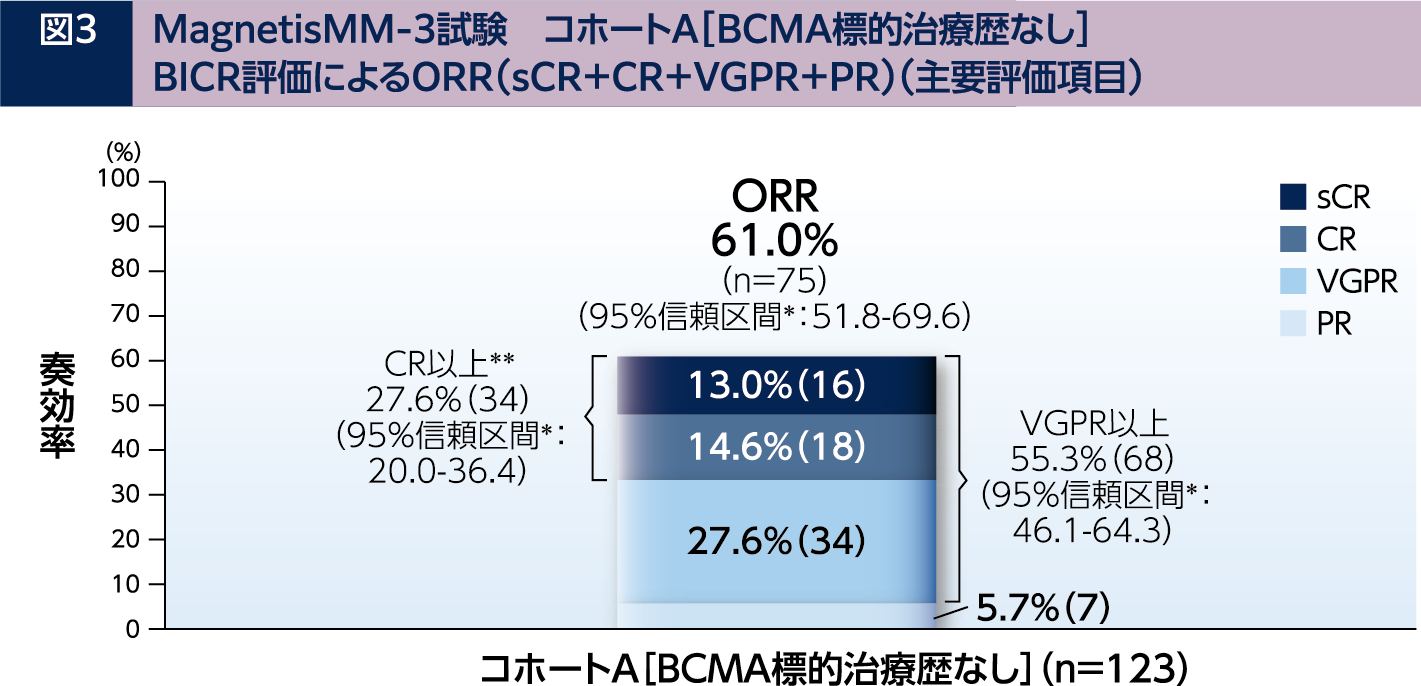 症例から考える再発/難治性多発性骨髄腫の治療戦略 | Elrexfio