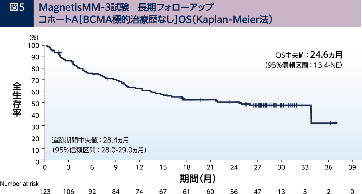 症例から考える再発/難治性多発性骨髄腫の治療戦略 | Elrexfio
